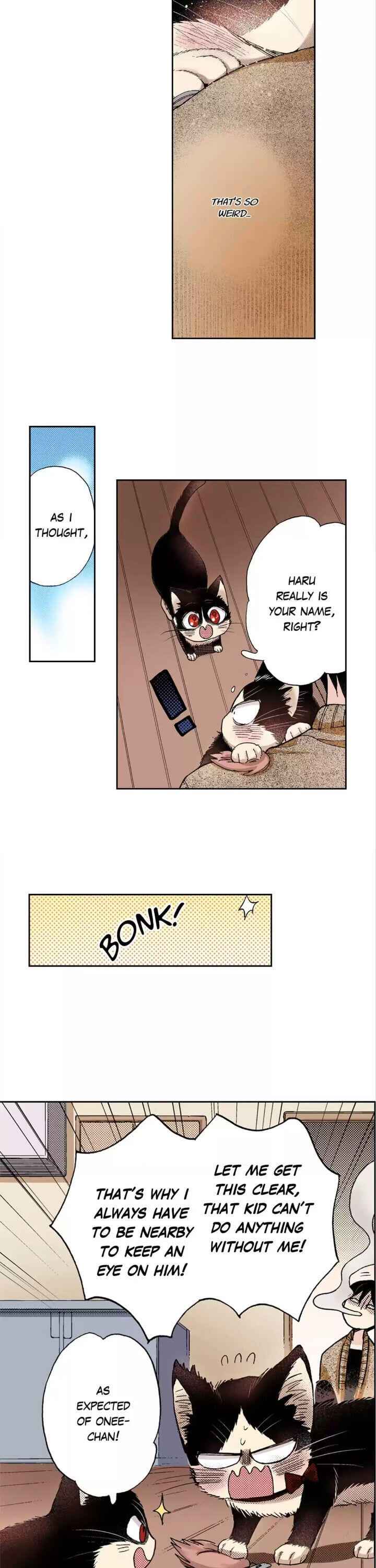 My Roommate Is A Cat Chapter 28