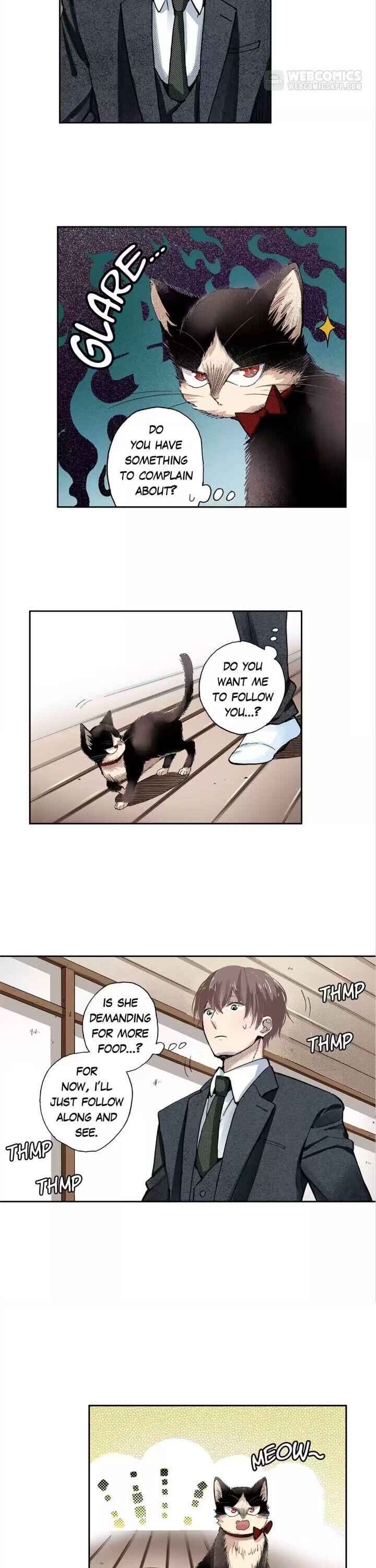 My Roommate Is A Cat Chapter 39