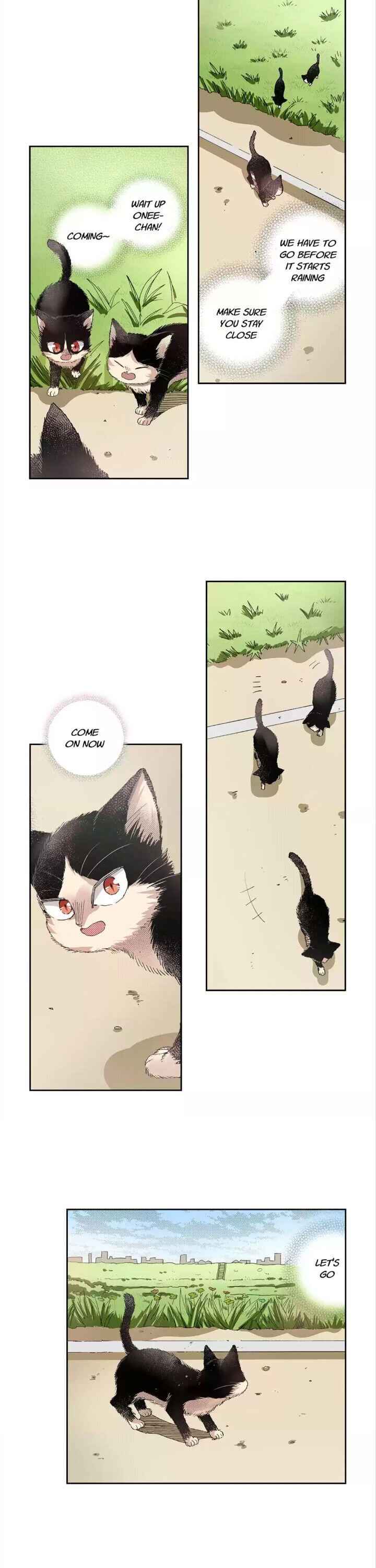 My Roommate Is A Cat Chapter 40