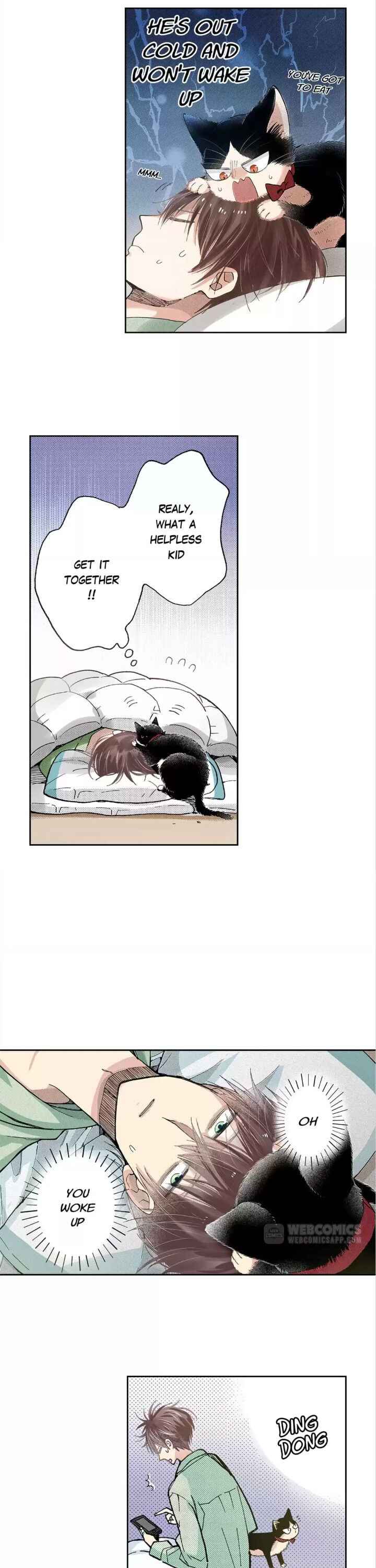 My Roommate Is A Cat Chapter 43