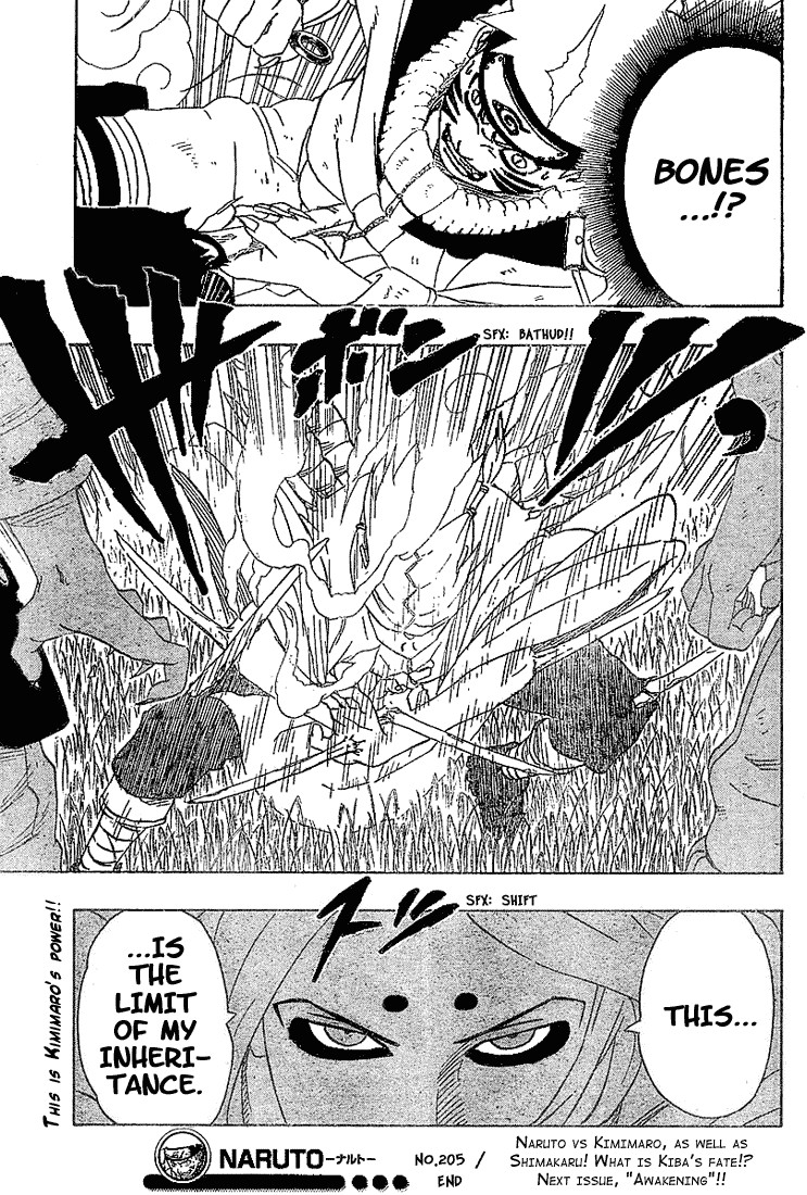 Naruto Chapter 205 19