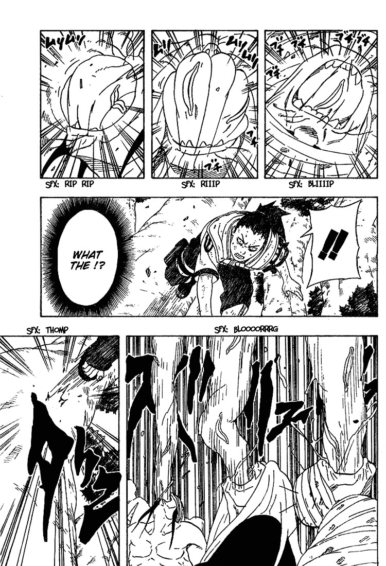 Naruto Chapter 207