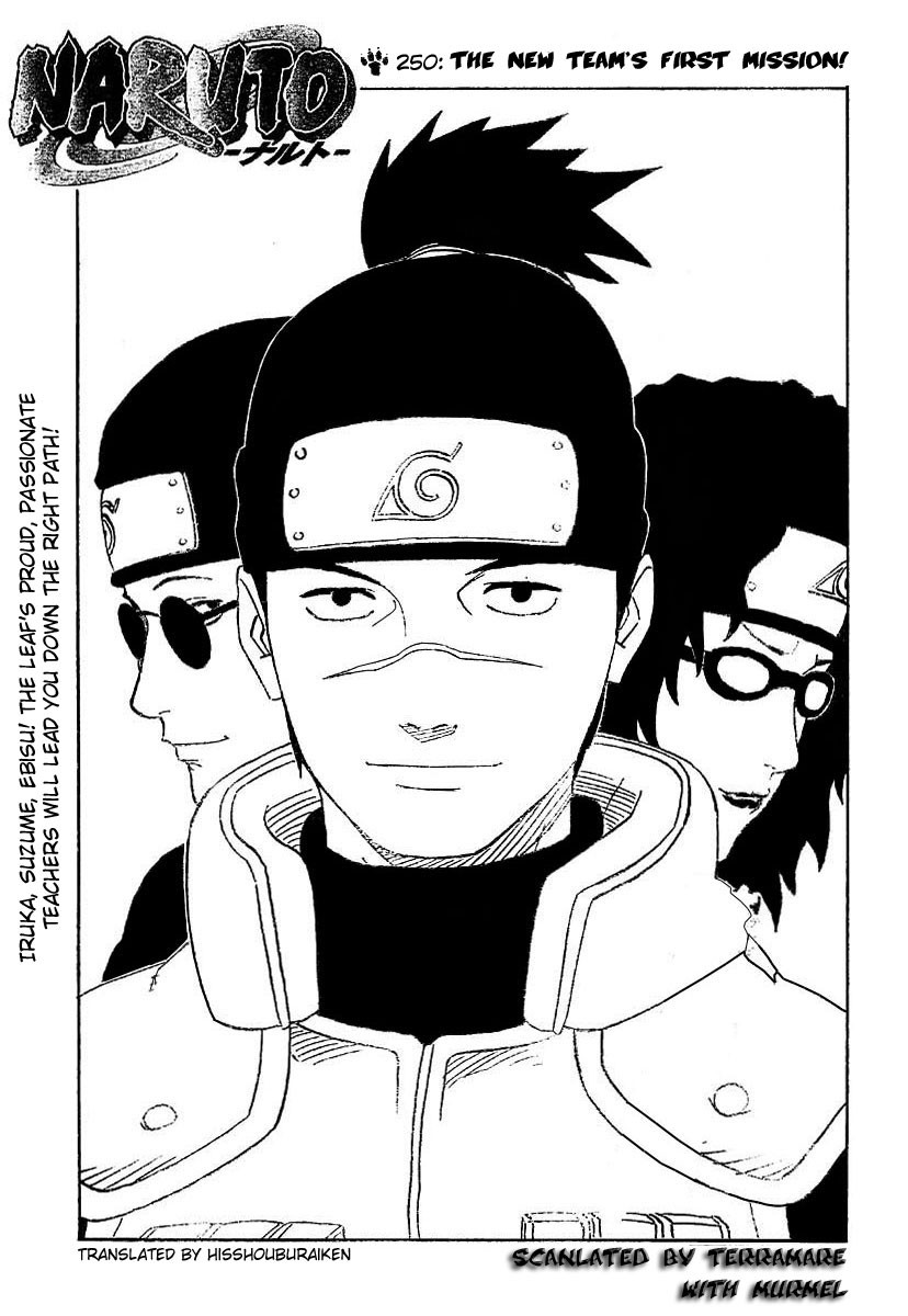 Naruto Chapter 250