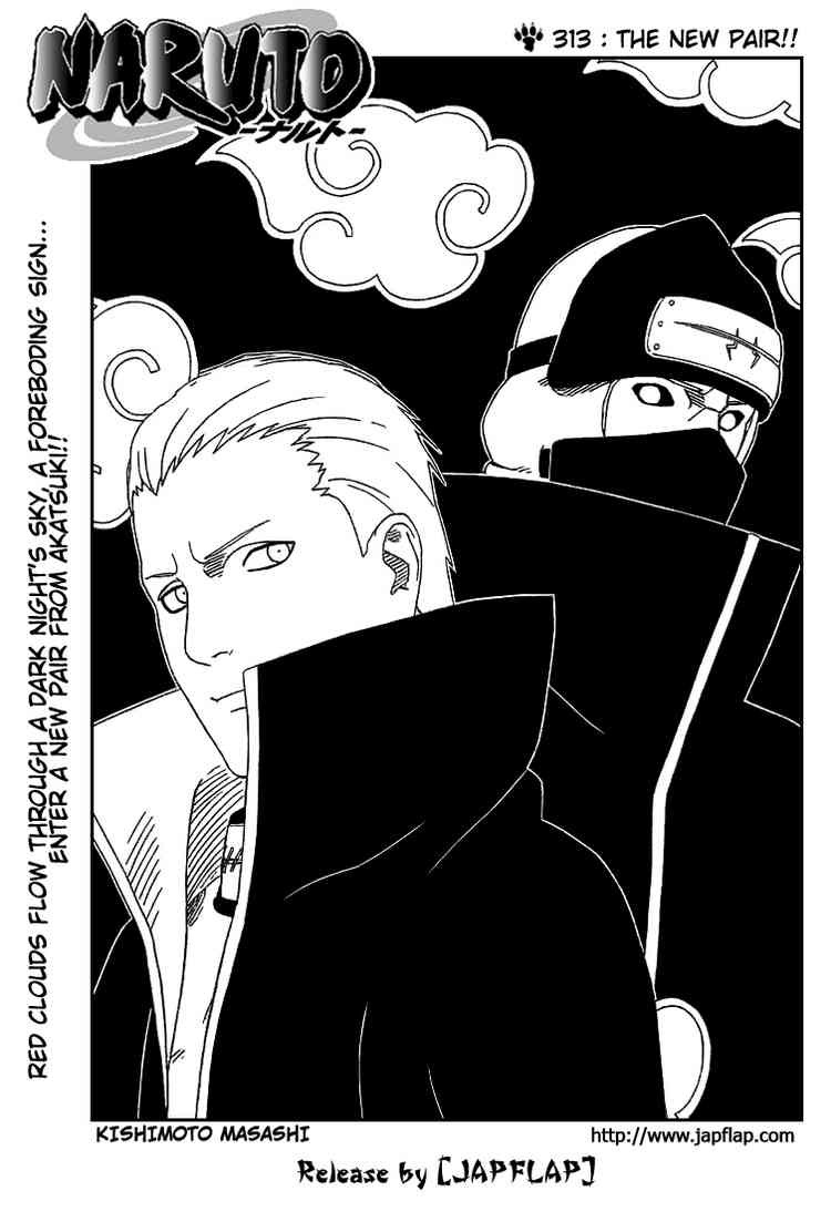 Naruto Chapter 313 1