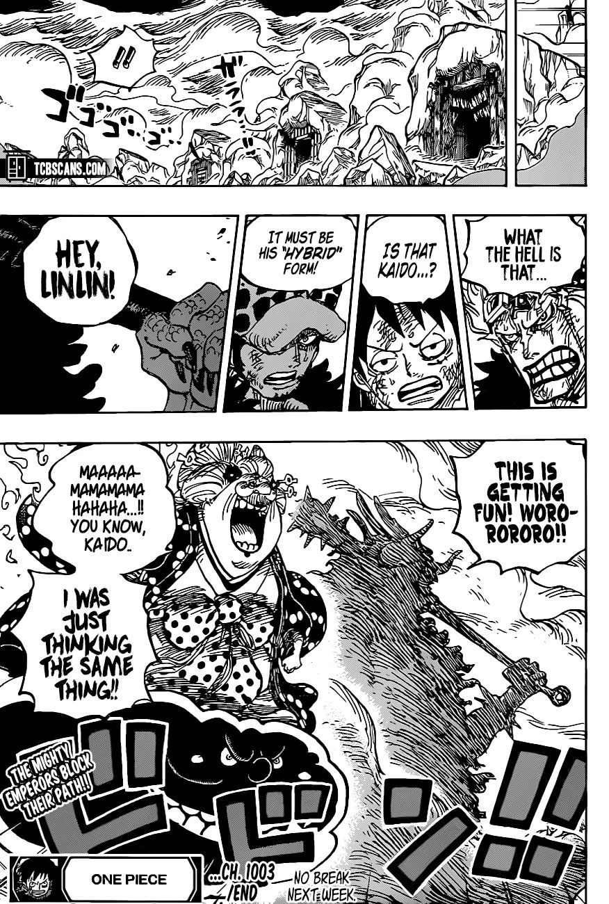 One Piece Chapter 1003