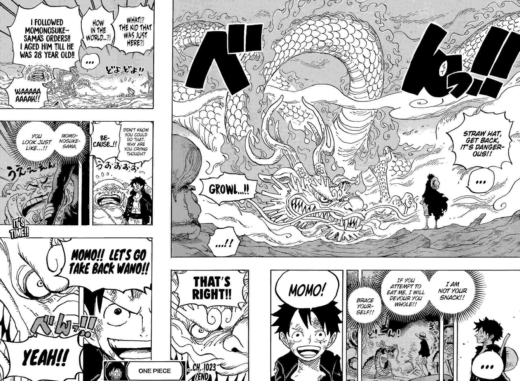 One Piece Chapter 1023