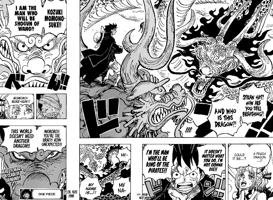 One Piece Chapter 1025