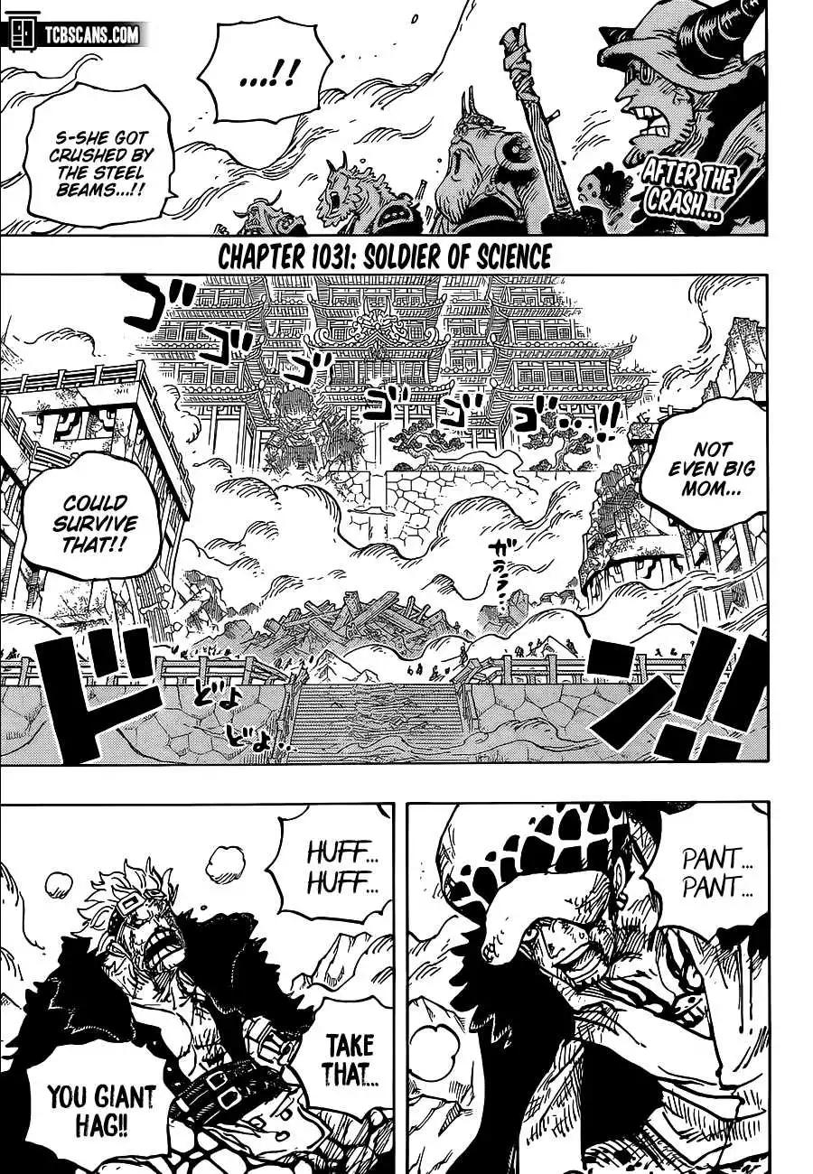 One Piece Chapter 1031