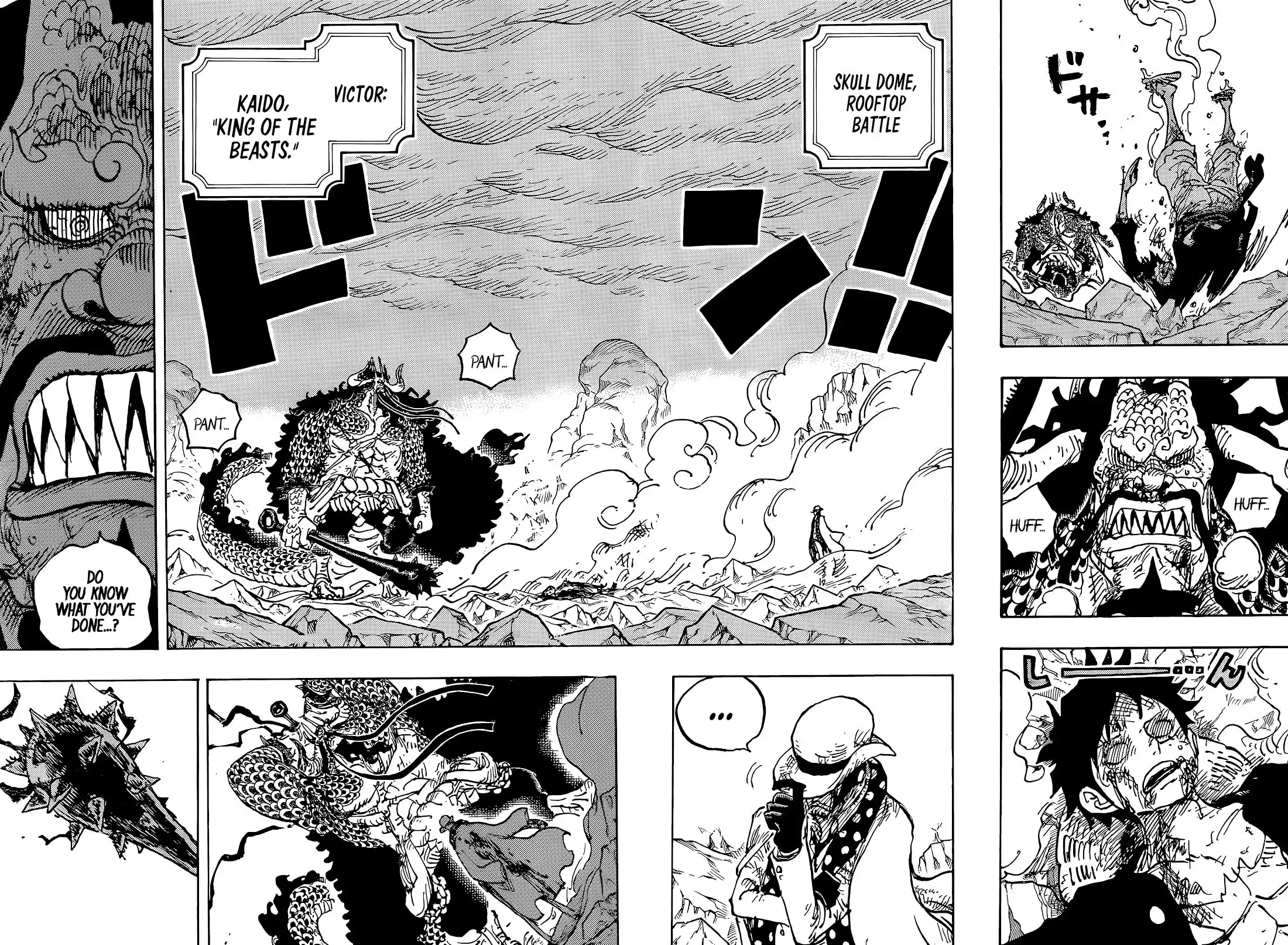 One Piece Chapter 1043