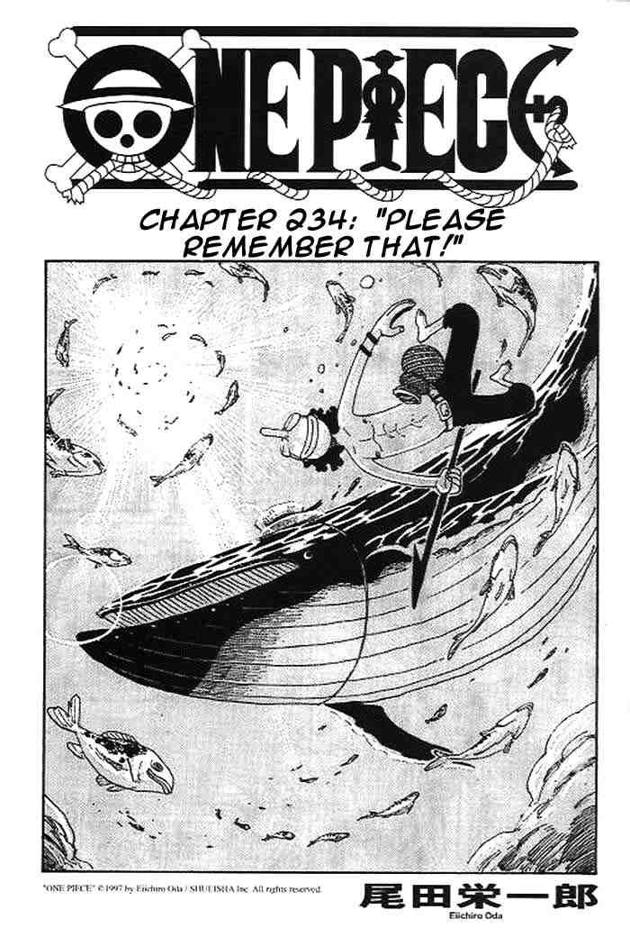 One Piece Chapter 234