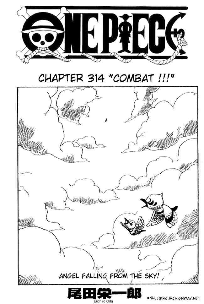 One Piece Chapter 314