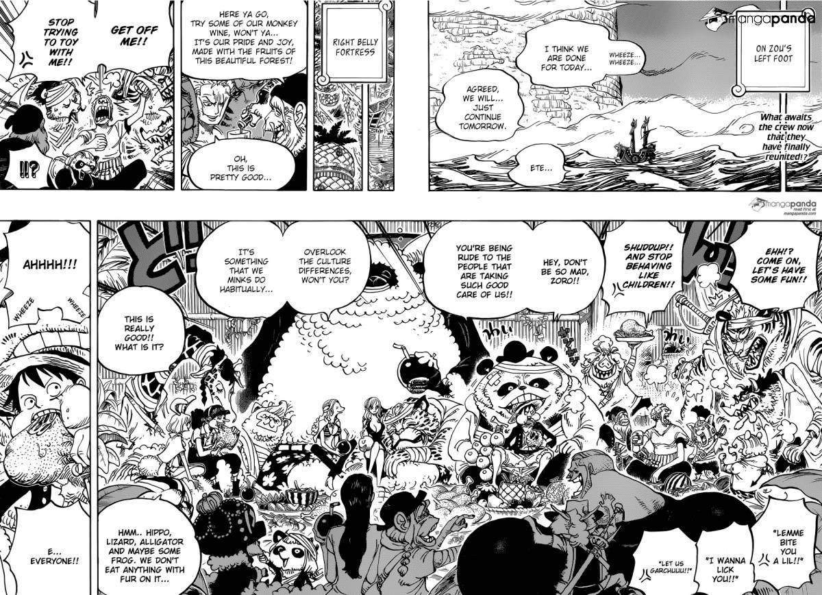 One Piece Chapter 807