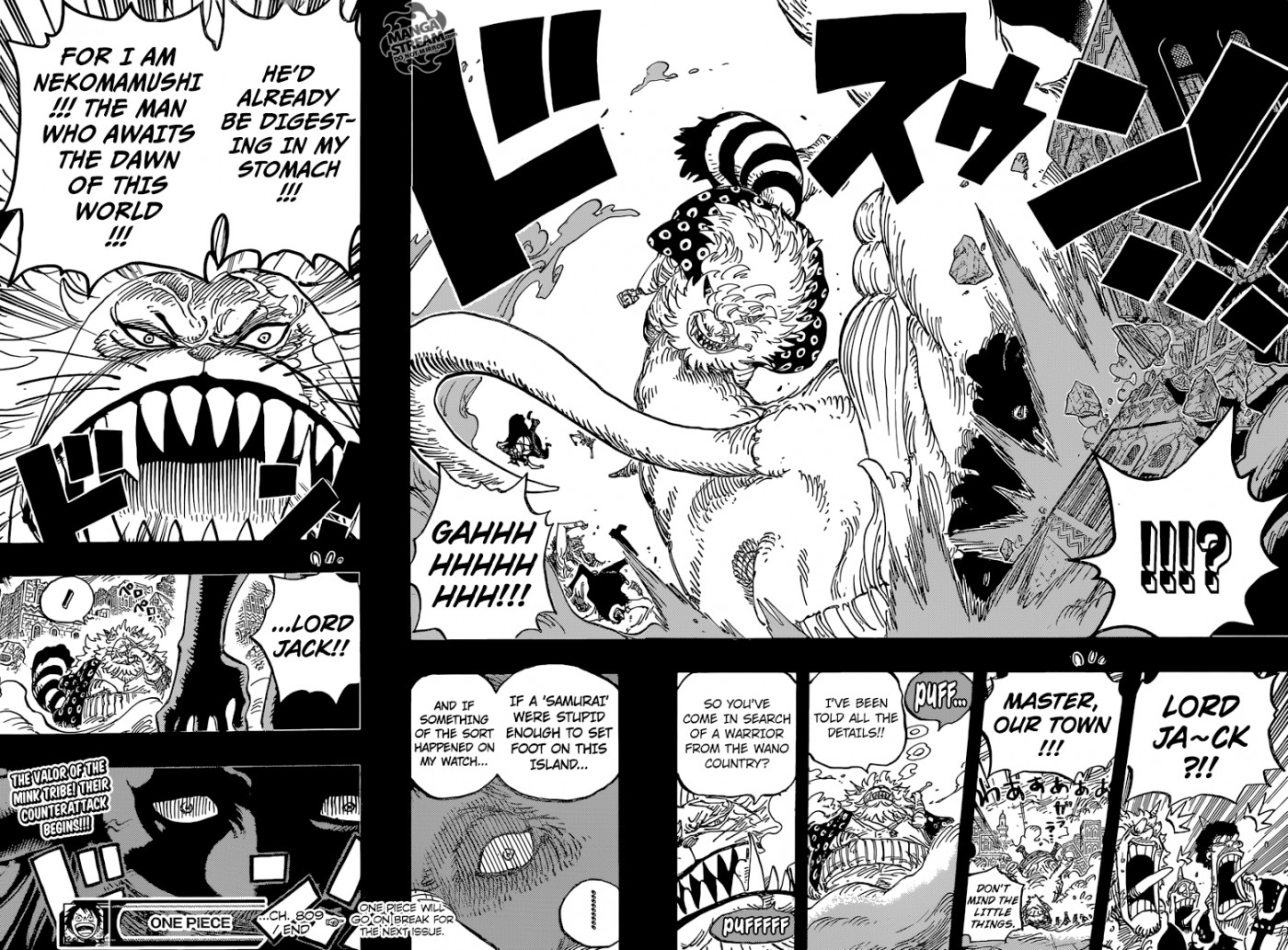 One Piece Chapter 809