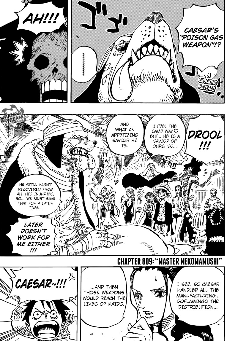 One Piece Chapter 809