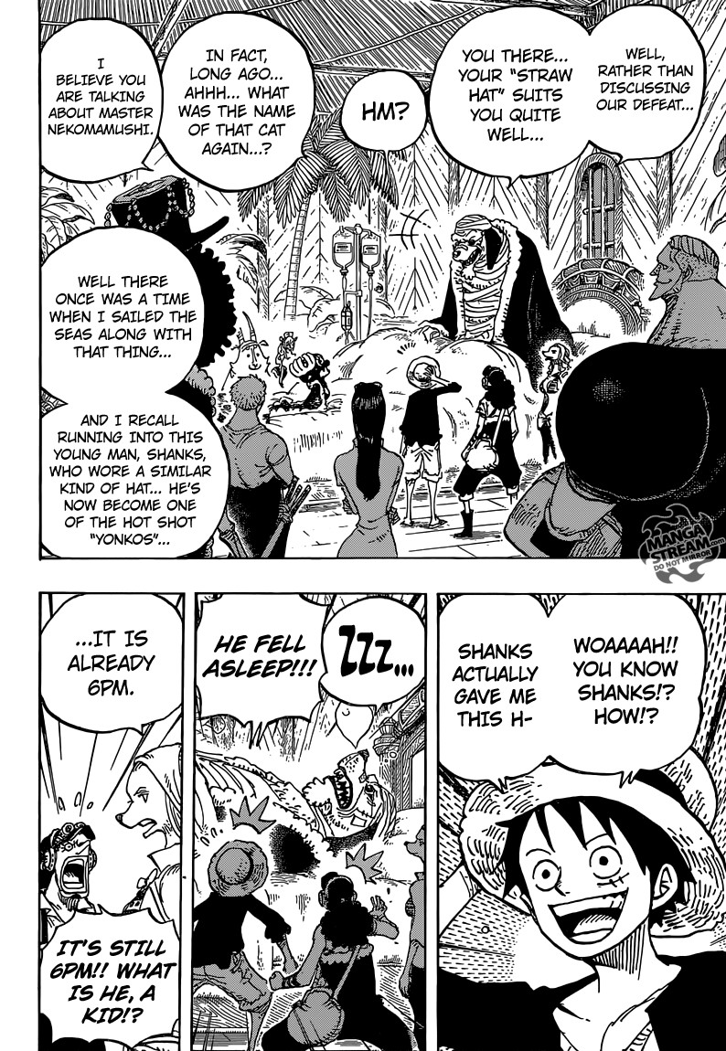 One Piece Chapter 809