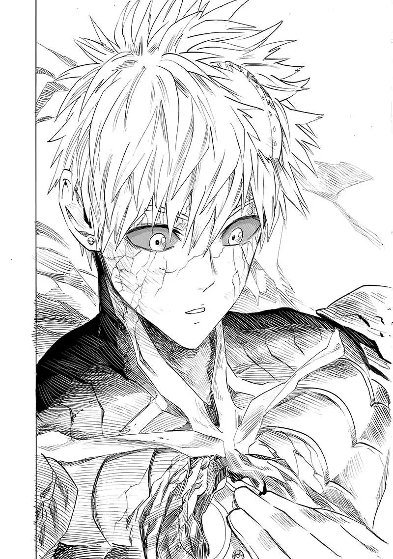 One-Punch Man Chapter 154.5