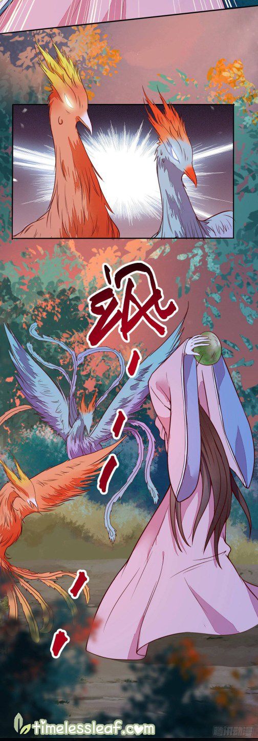 Rebirth of the Divine Doctor Chapter 72.1