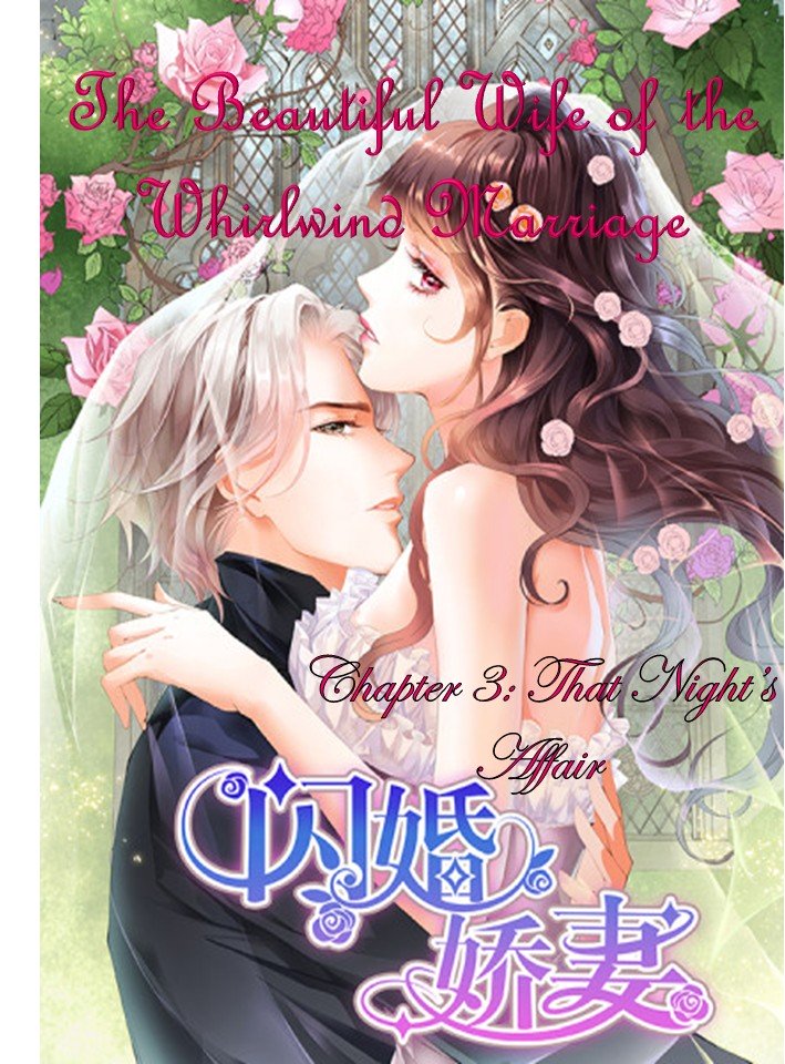 The Beautiful Wife of the Whirlwind Marriage Chapter 3