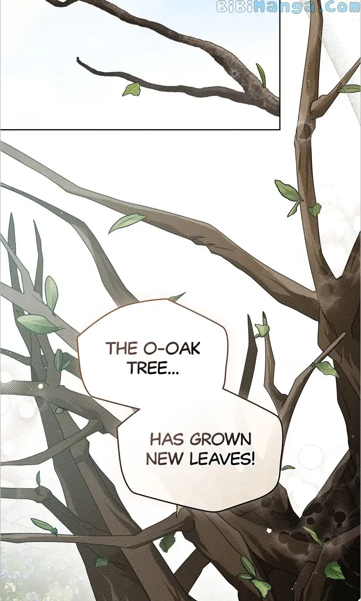 Under the Oak Tree Chapter 78