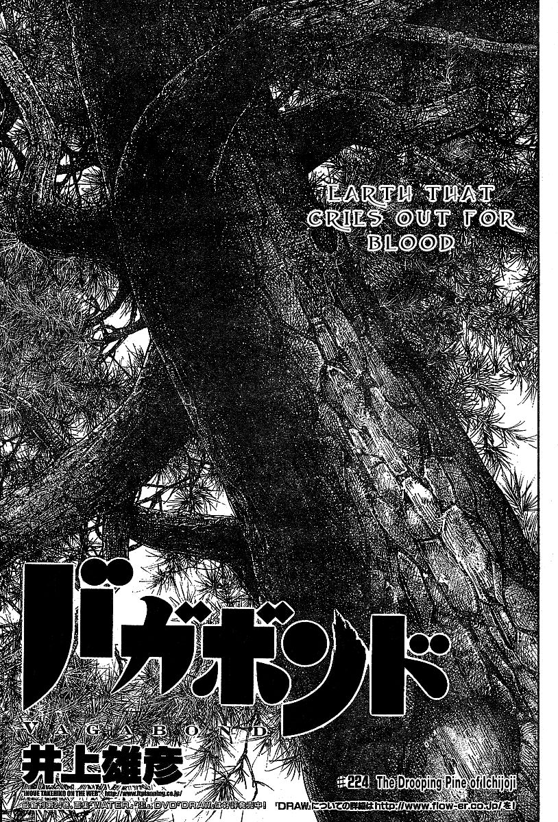 Vagabond Chapter 224