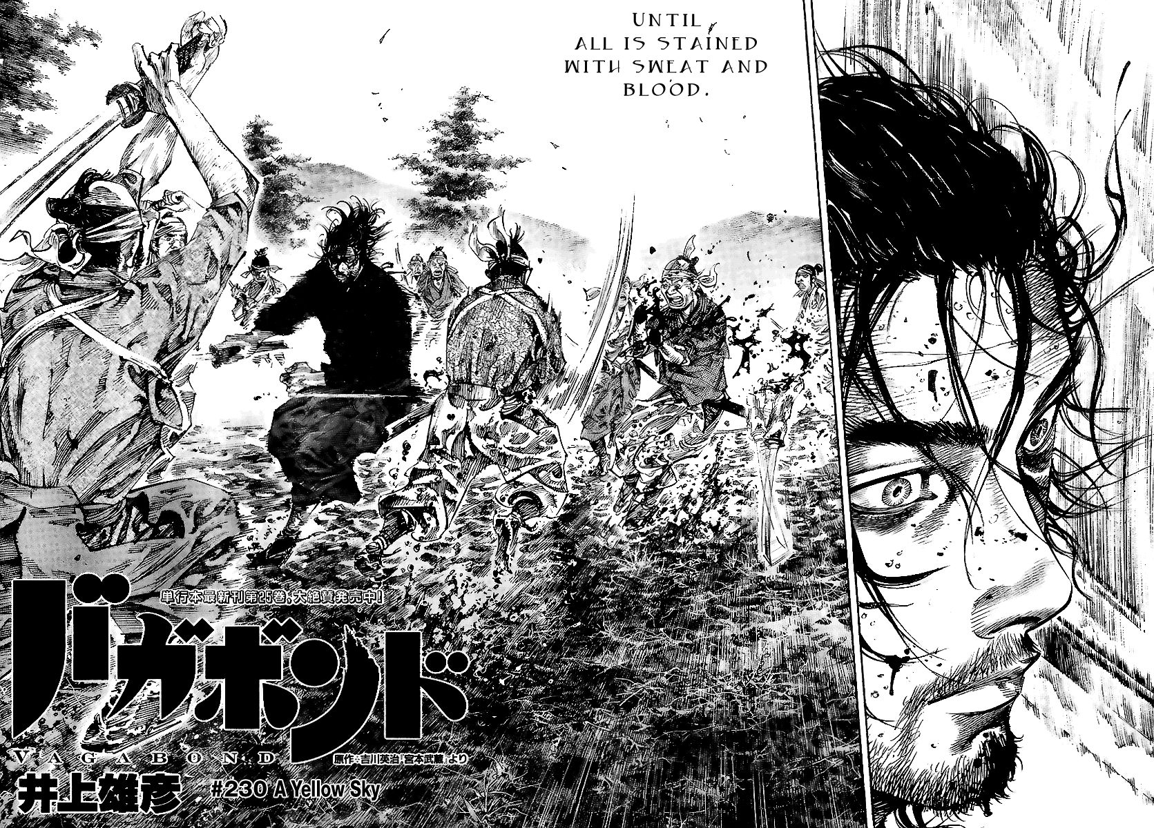 Vagabond Chapter 230 2