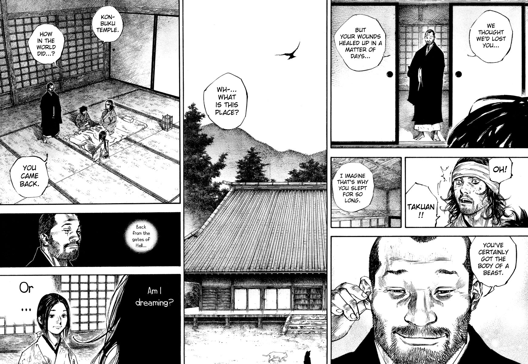 Vagabond Chapter 244 9